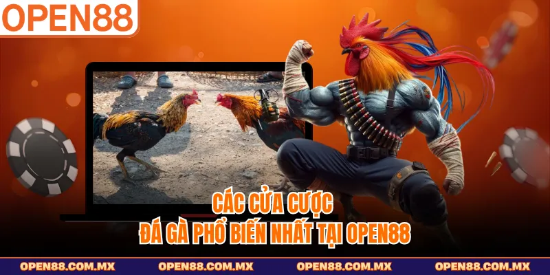 Các cửa cược đá gà phổ biến nhất tại OPEN88