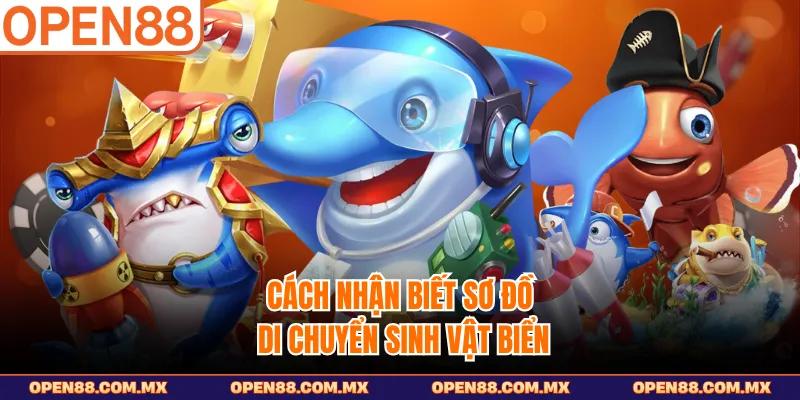 Cách nhận biết sơ đồ di chuyển sinh vật biển
