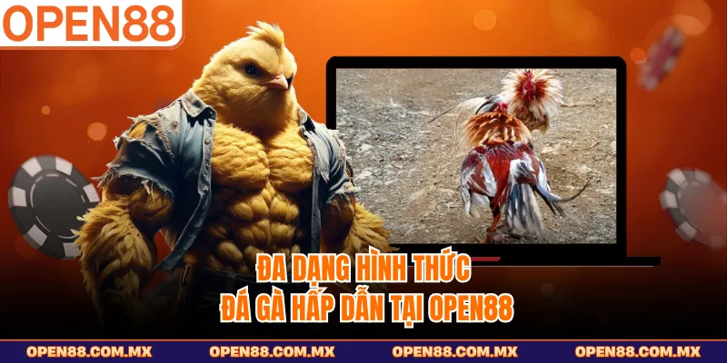 Đa dạng hình thức đá gà hấp dẫn tại OPEN88