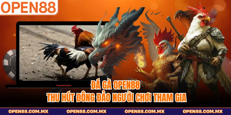Đá gà OPEN88 thu hút đông đảo người chơi tham gia