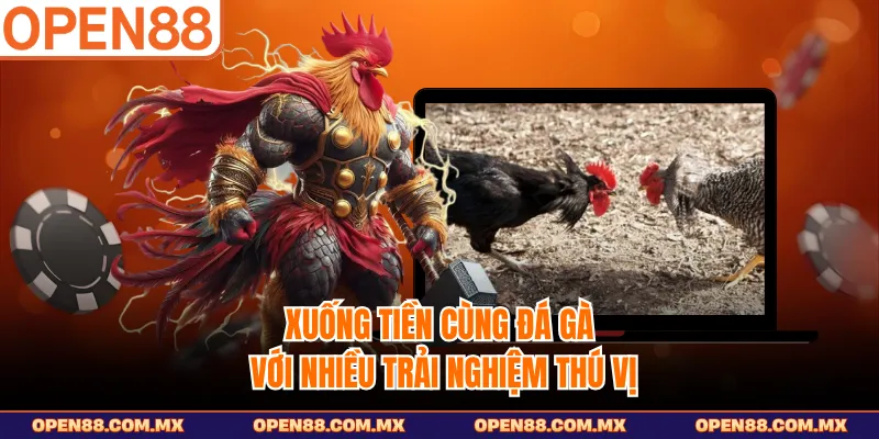 Xuống tiền cùng đá gà với nhiều trải nghiệm thú vị